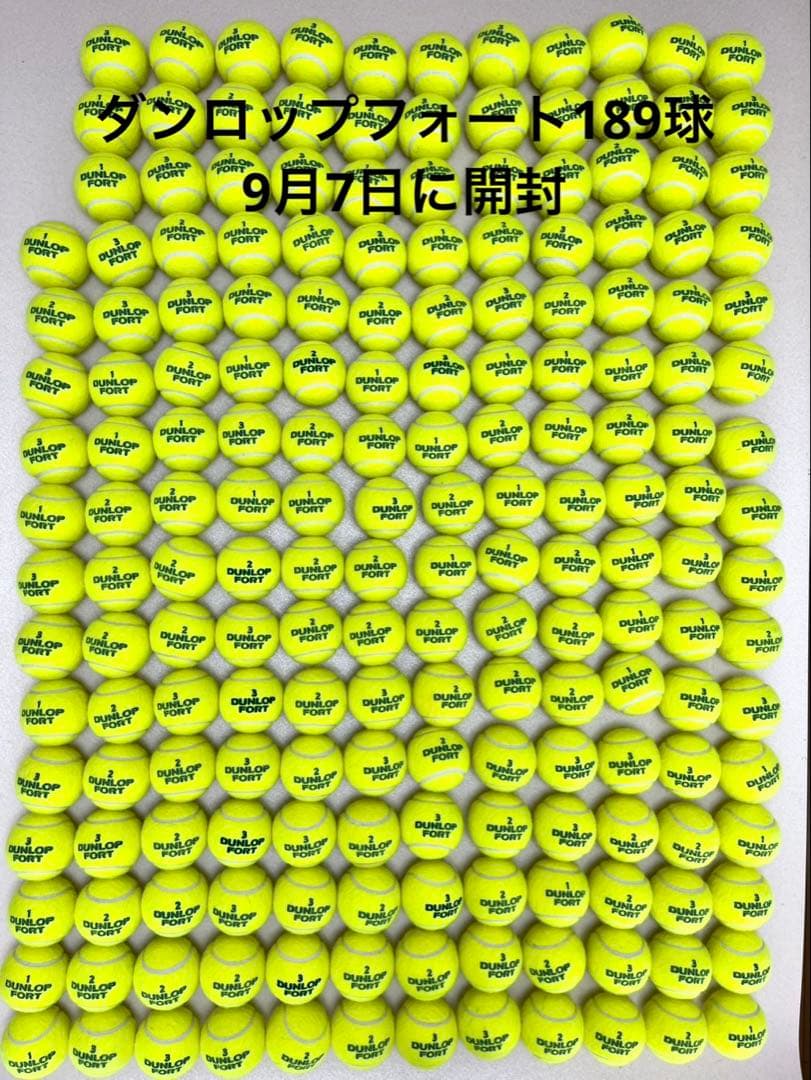 ダンロップフォート189球　中古品