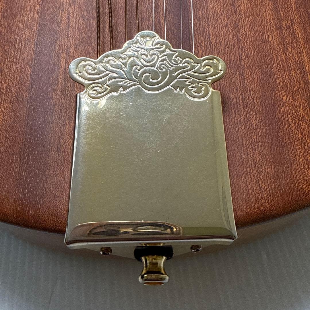 フラットマンドリンBeanBlossom By Morgan Monroe