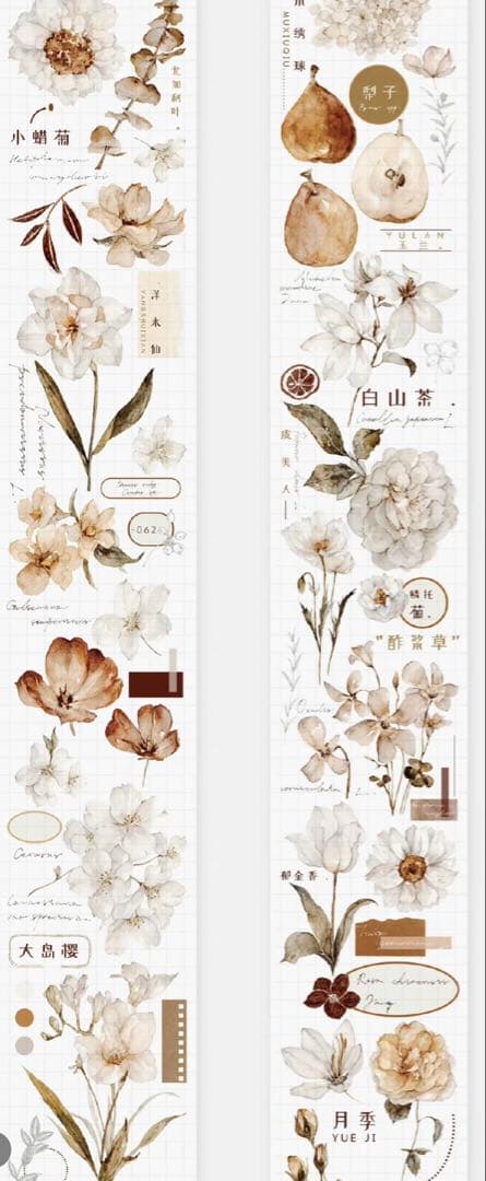 《在庫ラスト最終値下げ》海外 マスキングテープ雀斑茶 6点⚠️pet（33.324