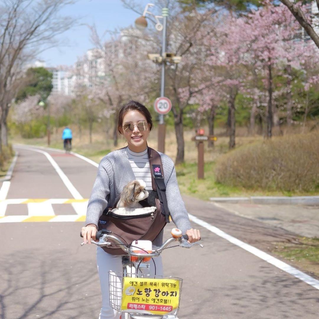 2点セット|新品|正しい姿勢で安心！犬と飼い主に優しい多機能スリングFUNDLE