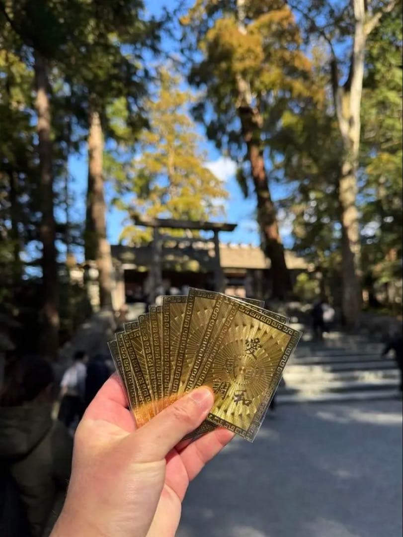 稀少 本物 プレミア 破格 ナミビア産のギベオン 14mm