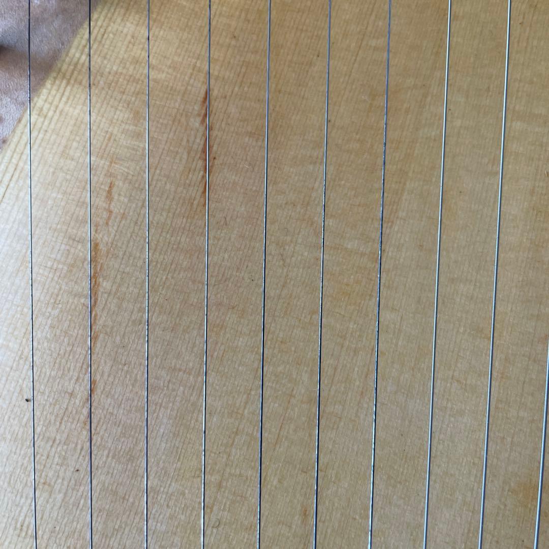 英円楽器 ライア 12弦