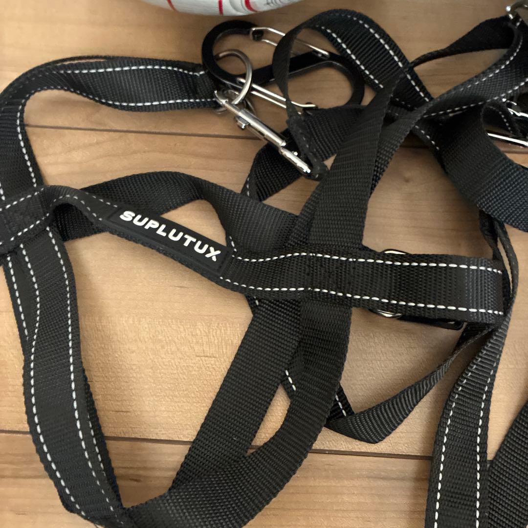 フットゴルフボール　FGB サッカーボール 2個セット ストラップ　ティー付き