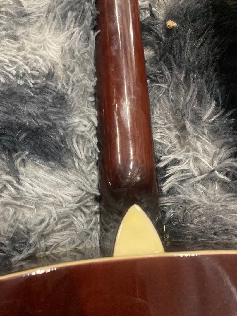 Sepia Crue　W-180E-TS　アコースティックギター