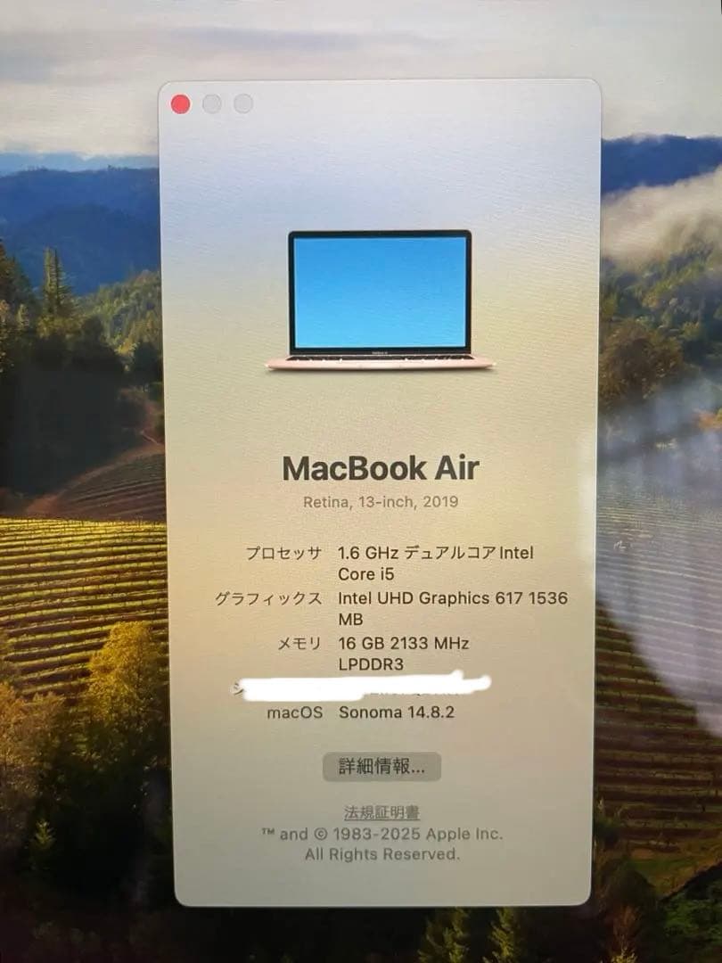 MacBook Air 2019 16GB 256GB ピンクゴールド 初期化済