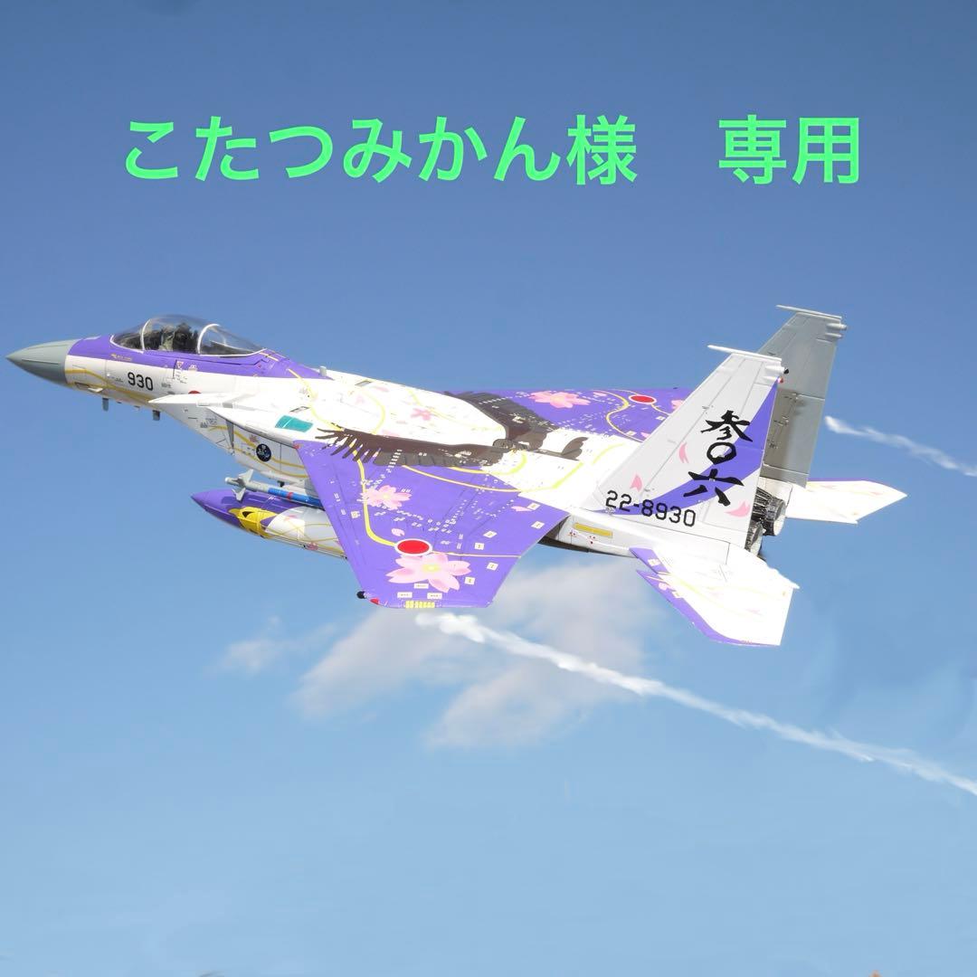 プラッツ製航空自衛隊F-15Jイーグル　プラモデル完成品