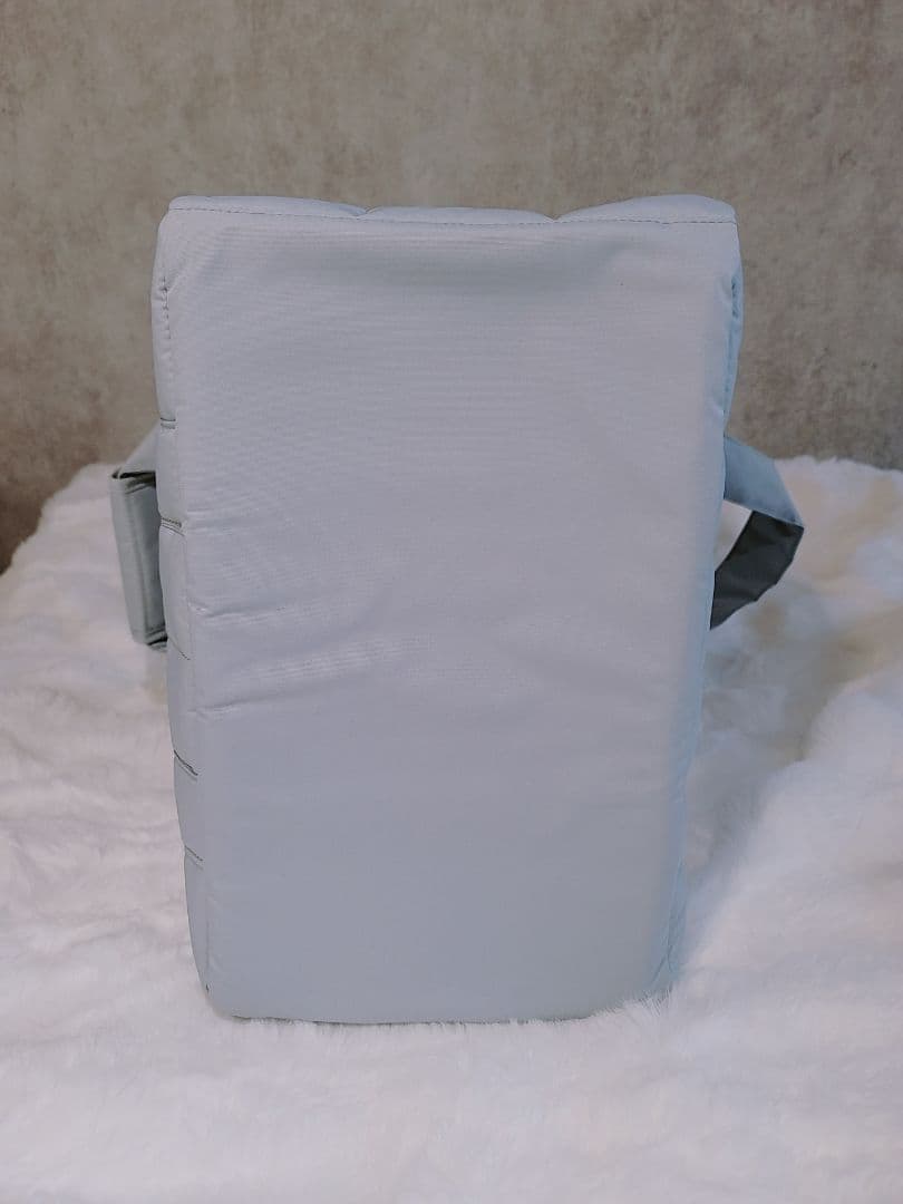 ☆新品☆　ジェラートピケ　CAT&DOG　ミニサイズ　キャリーバッグ　犬　ドッグ