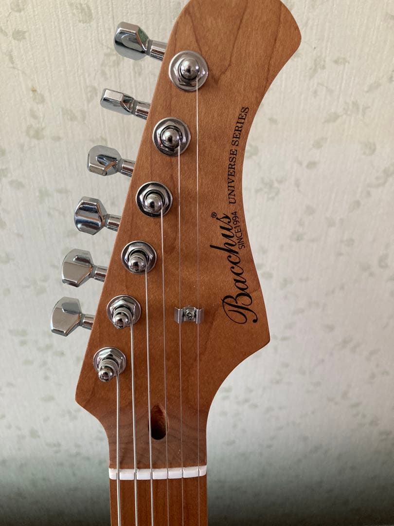 BACCHUS テレキャスタータイプ BTE-1 DX RSM/M CS