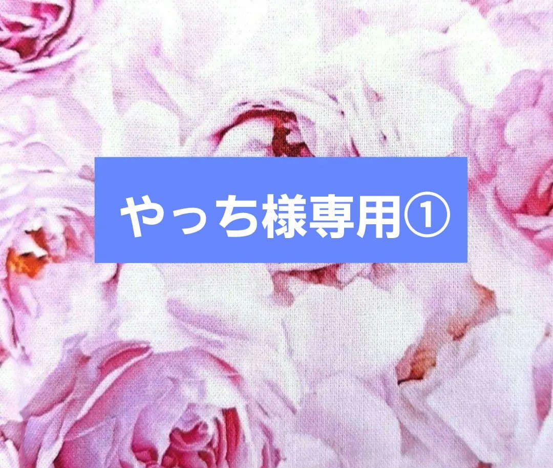 やっち①ポーチ