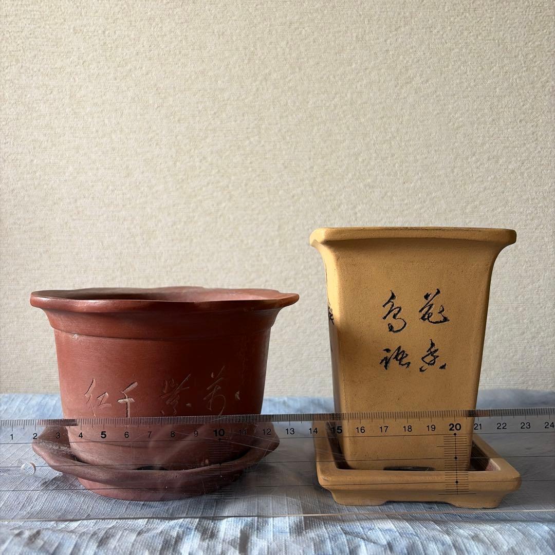 植木鉢　中国宜興　宜興　朱泥　盆栽