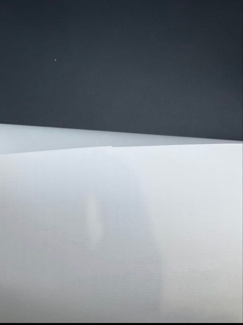 【訳あり】愛しのベラ マルク シャガール リトグラフ 500部 限定 証明書有り