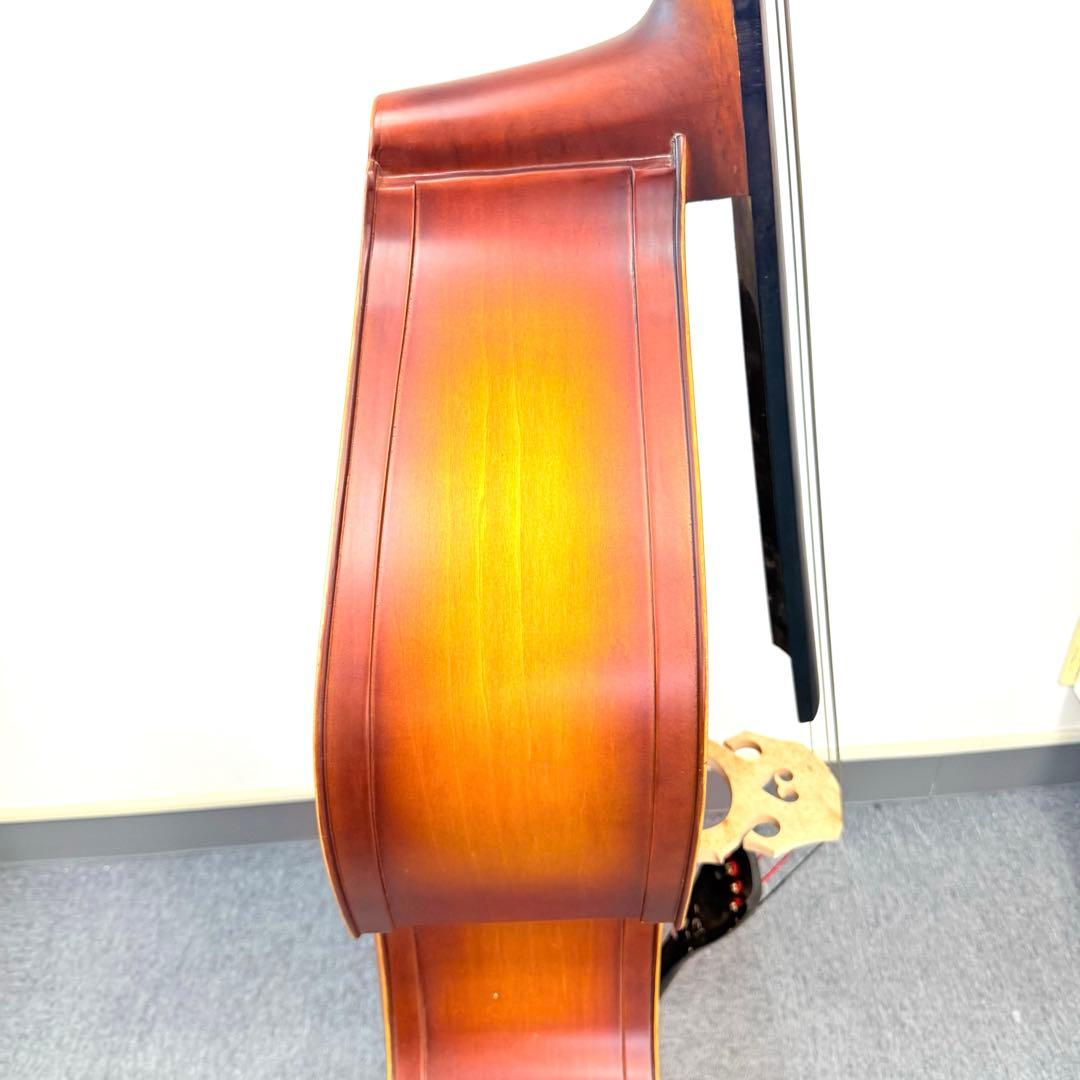 Hallstatt コントラバス WBS-800