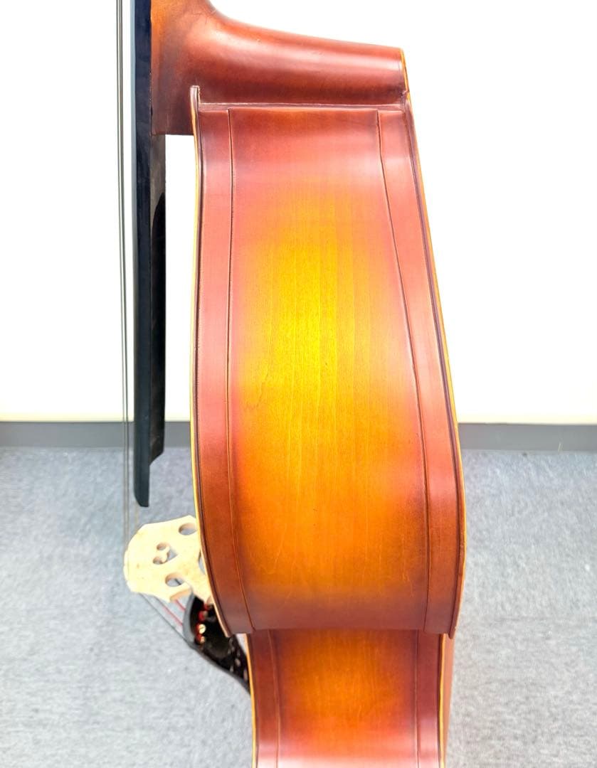Hallstatt コントラバス WBS-800