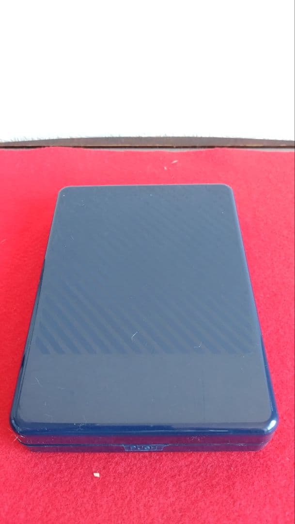 人見友紀　伝説の逃亡画家　受賞メダル　ゴールドメダル