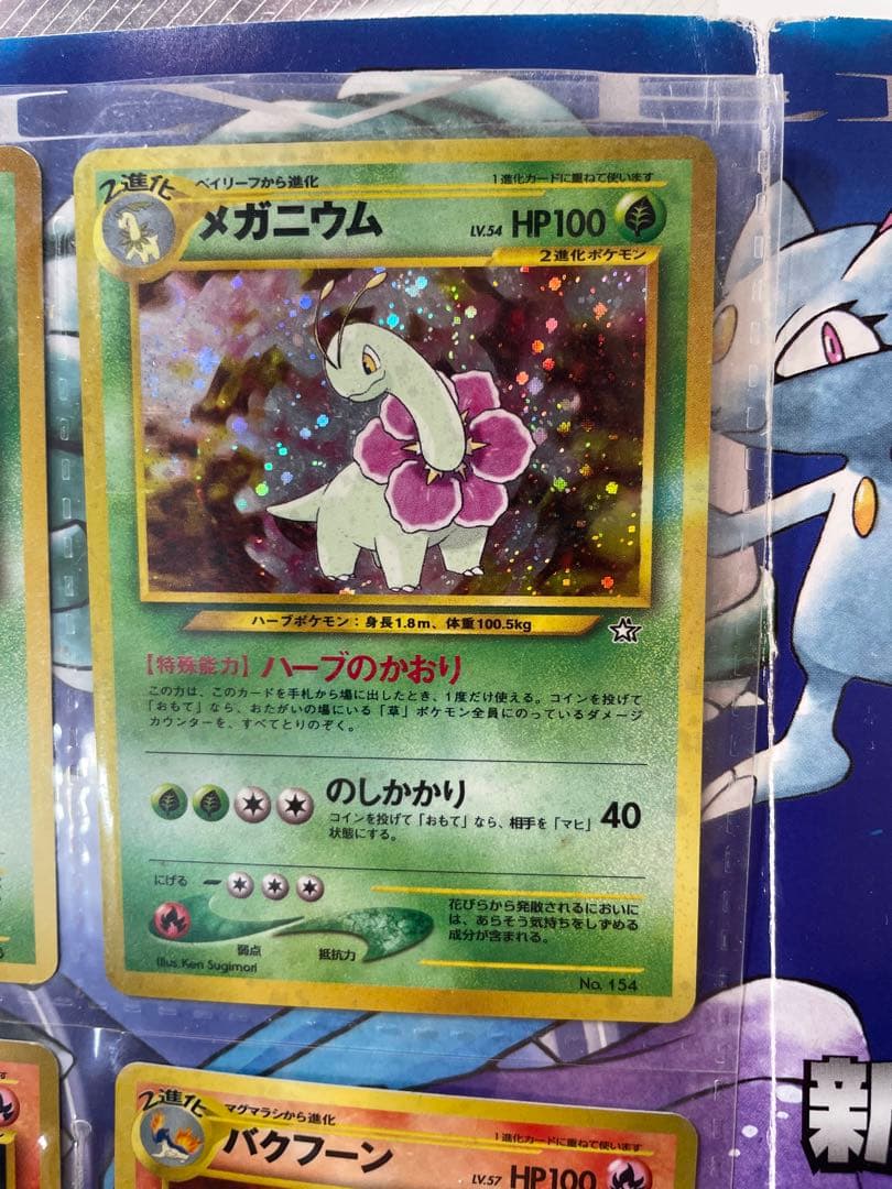 ポケモンカード neo プレミアムファイル 1/2 ファイル付きセット