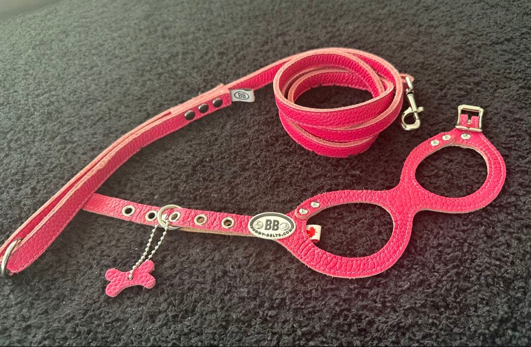 BBベルト＆オールレザーリード