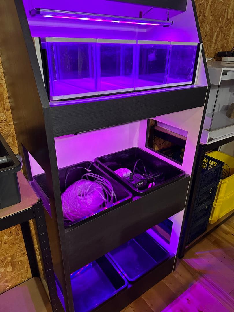 メダカマンション　3段タワー【受け取り限定】