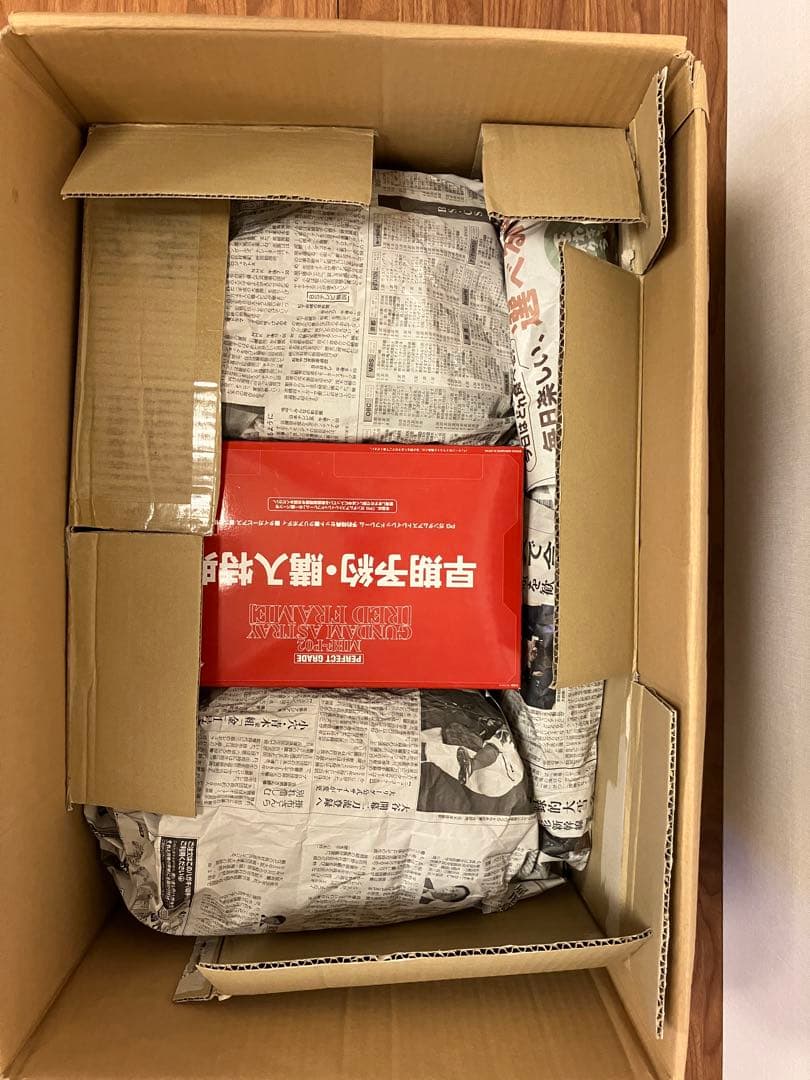 PG 1/60 ガンダムアストレイ レッドフレーム　新品