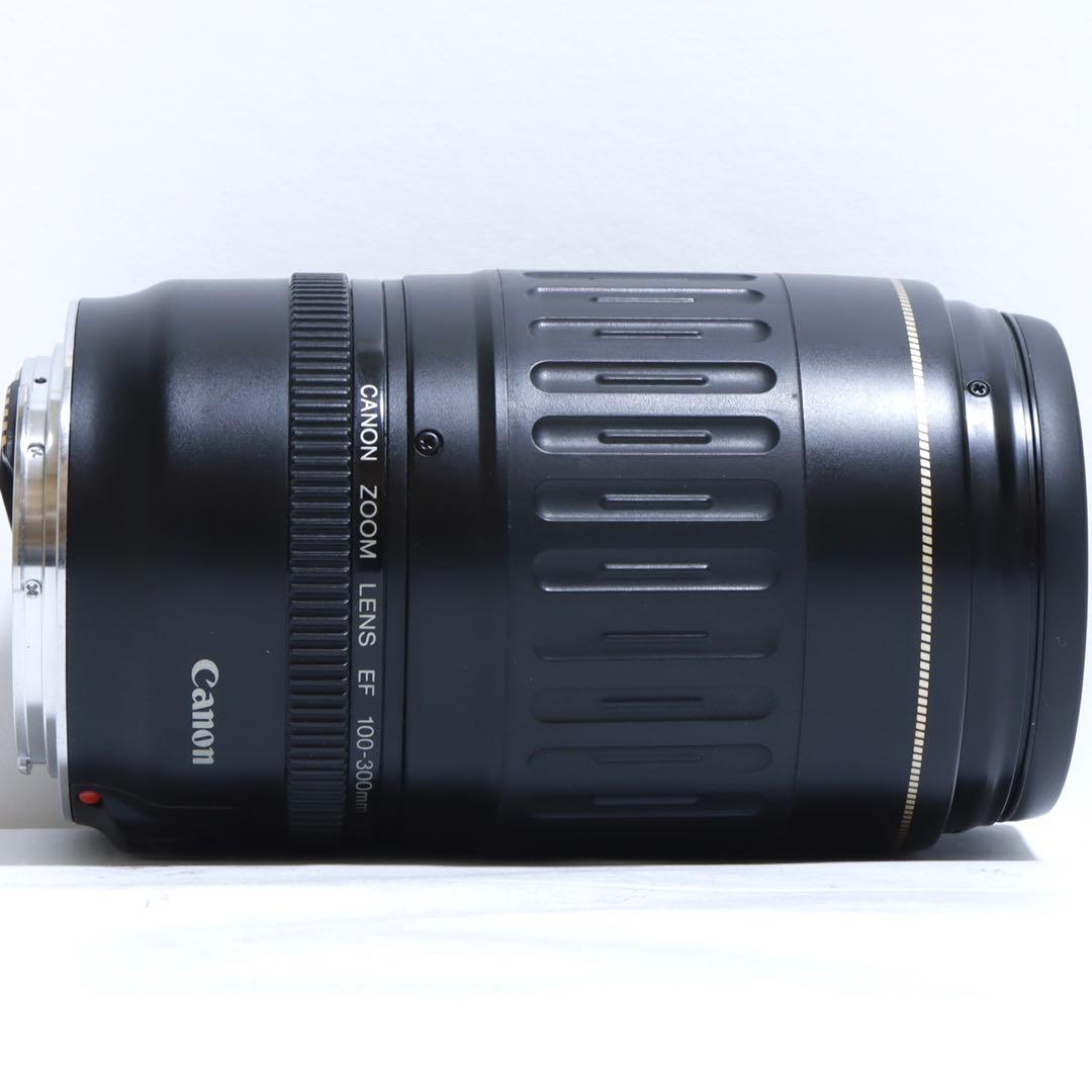 ◇ こぐま ◇ Canon純正 300mm 超望遠レンズ!!◇