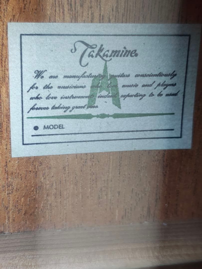 美品 Takamine 200シリーズ NA 型番不明 PU付きエレアコ