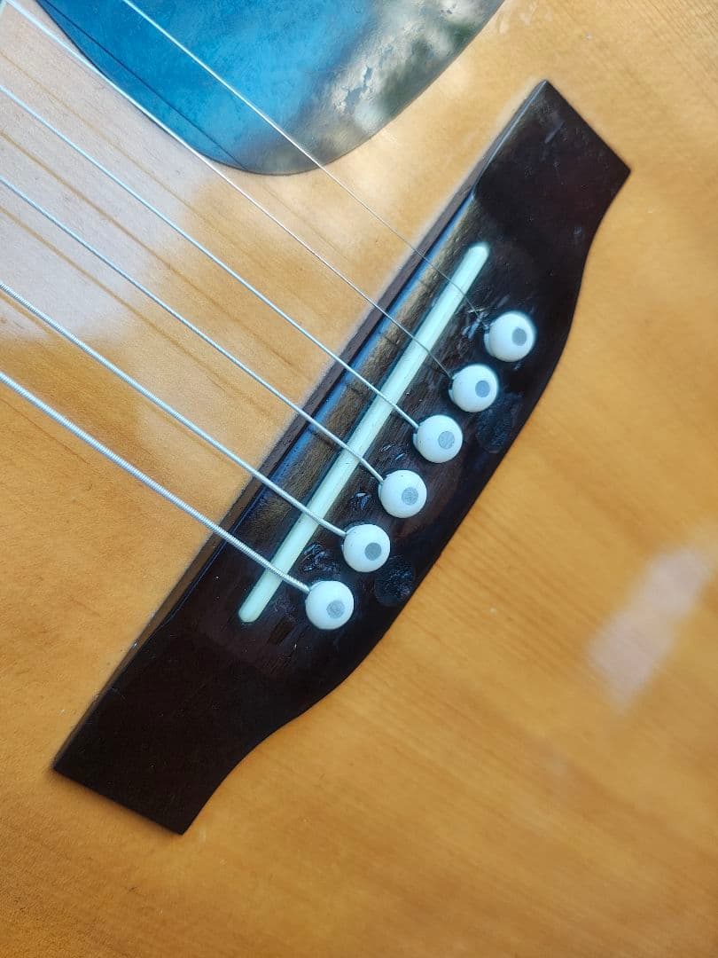 美品 Takamine 200シリーズ NA 型番不明 PU付きエレアコ