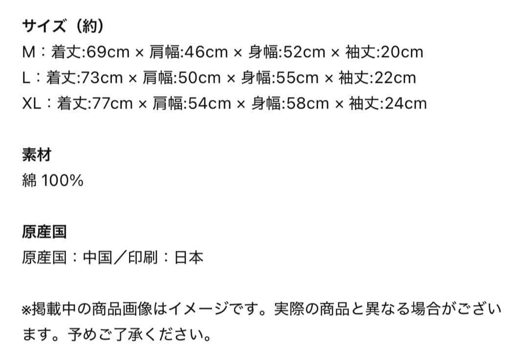 黒夢 × SAINT Mxxxxxx Tシャツ　セントマイケル　清春