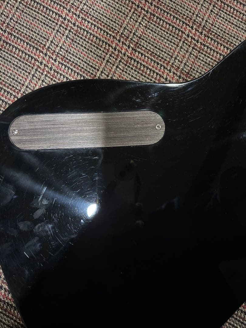 アコスタニック？　テレキャスター