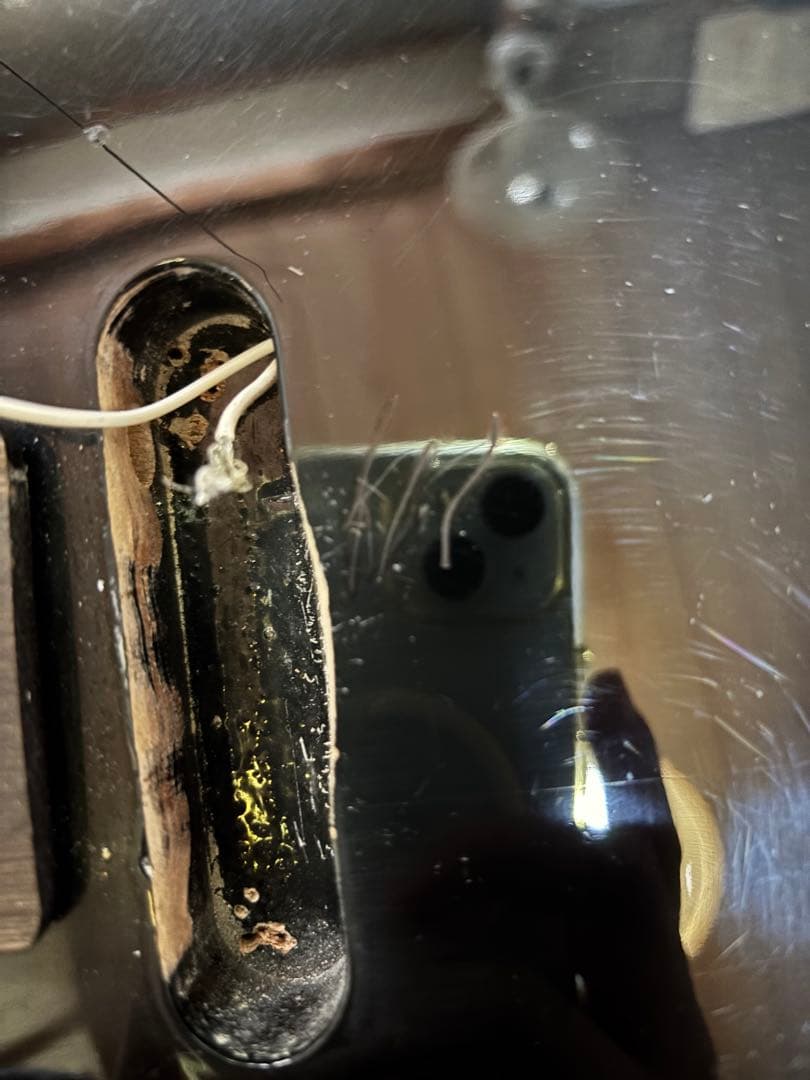 アコスタニック？　テレキャスター