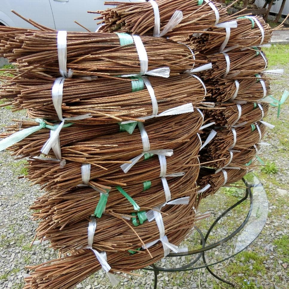 黄色いくまさん　青森岩木山採取　あけび蔓　150cm～ 15kg　1