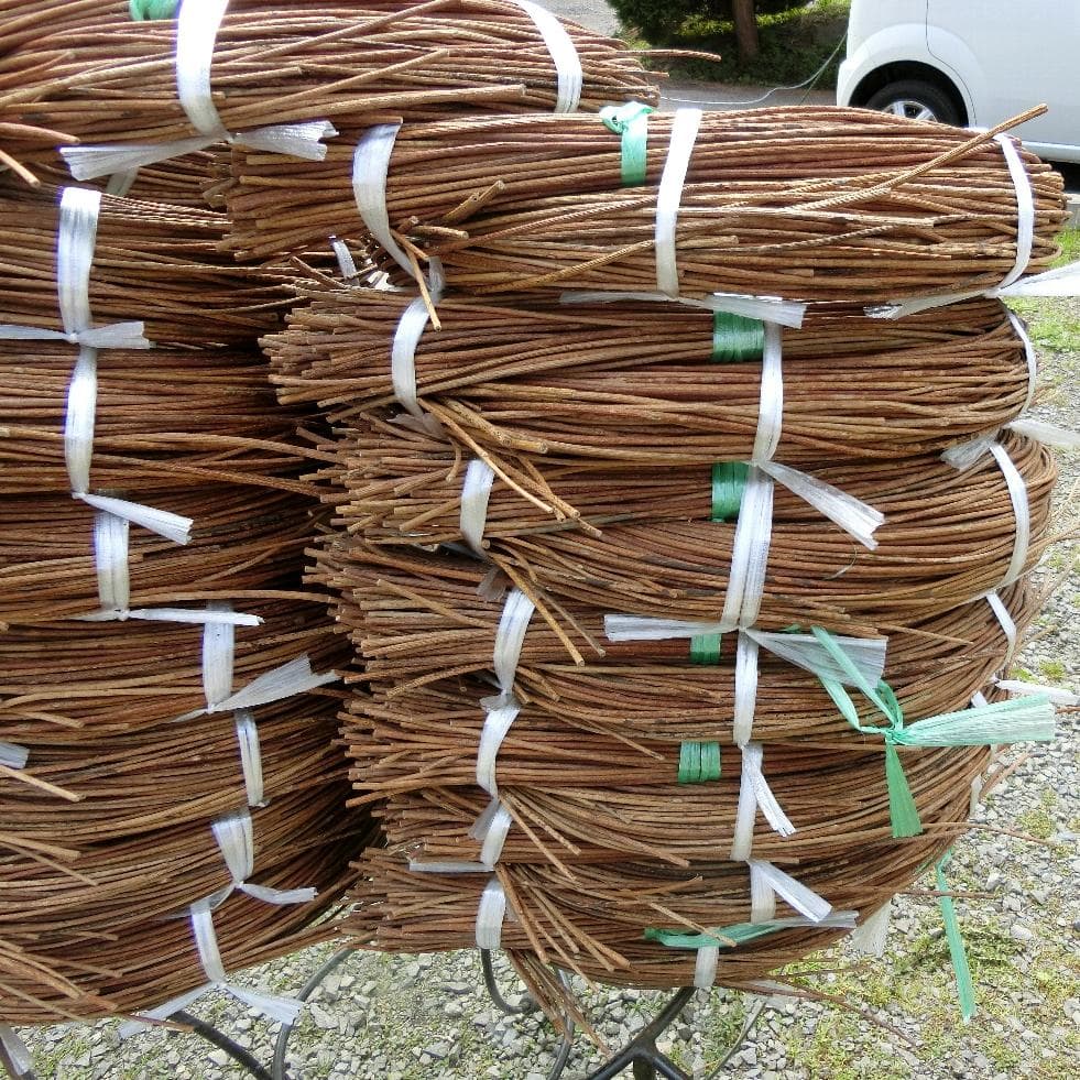 黄色いくまさん　青森岩木山採取　あけび蔓　150cm～ 15kg　1