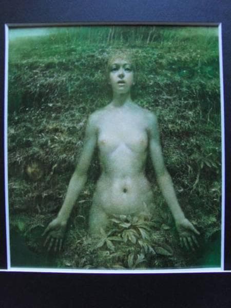 山本文彦、めざめ、希少・大判画集画、新品高級額・額装付