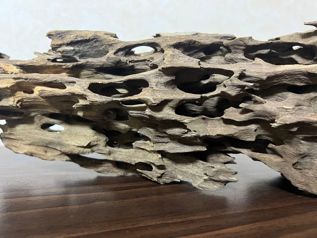 XM-456 流木　マシンガンウッド　アクアリウム　ブランチウッド　沈水確認済