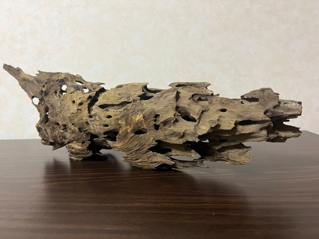 XM-456 流木　マシンガンウッド　アクアリウム　ブランチウッド　沈水確認済