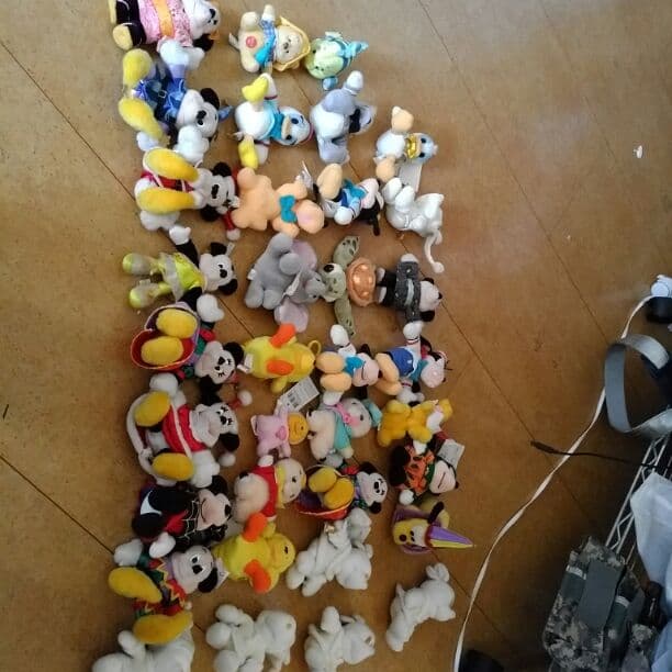 (希少)ディズニーぬいぐるみバッチ