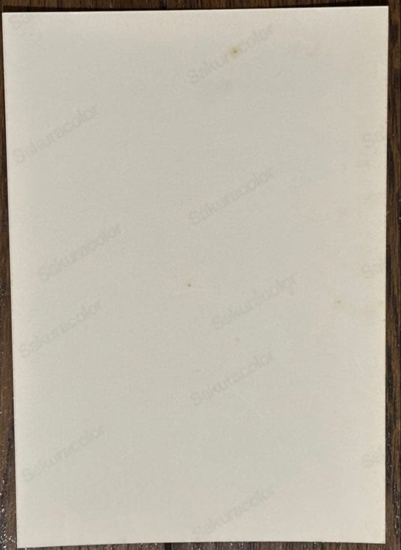 中森明菜　ひとりじめ(生写真10枚)➕生写真9枚　希少品