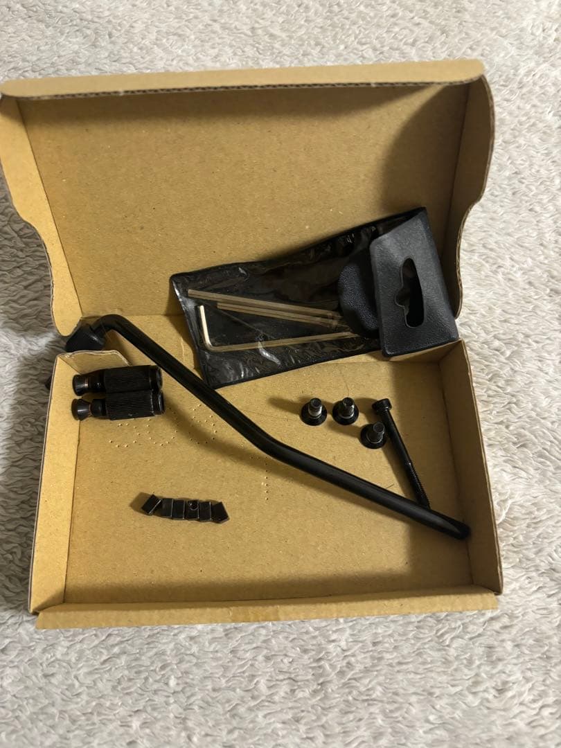 Jackson RRX24 カモ