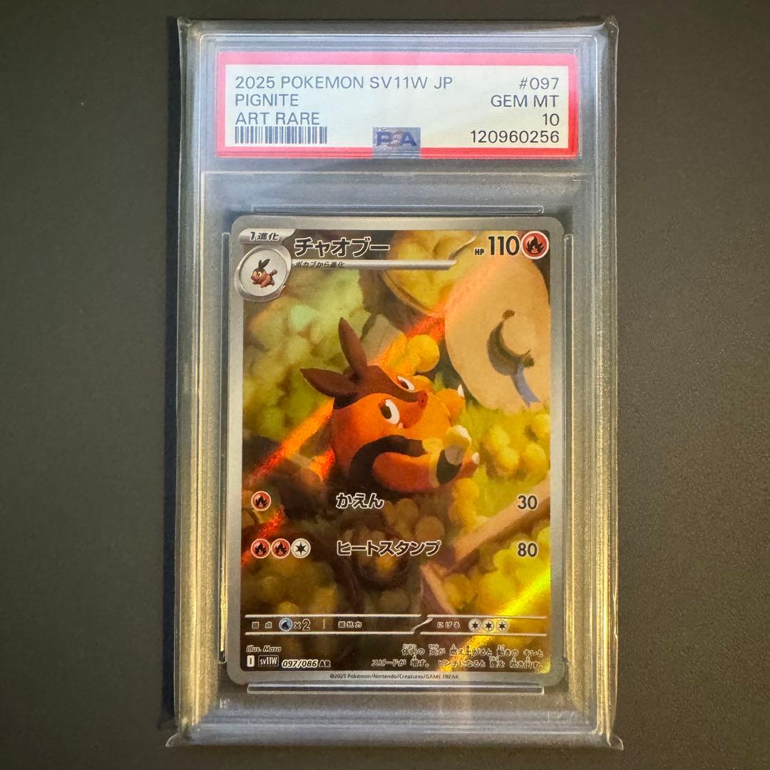 【PSA10 9連番】BW御三家 連番セット ブラックボルト ホワイトフレア