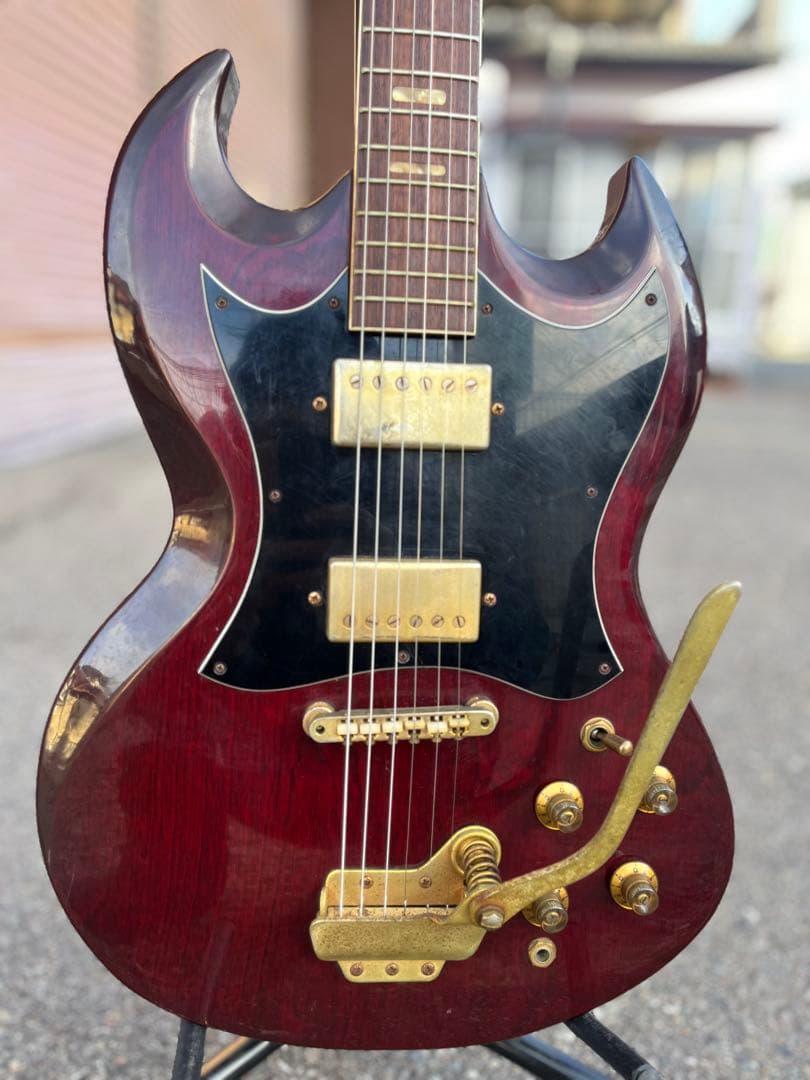 【Lake（レイク） 日本製 ビザールギター 長野ローカルブランド】