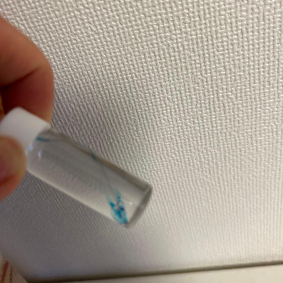 リアル　実物　透明標本　イソギンポ セット