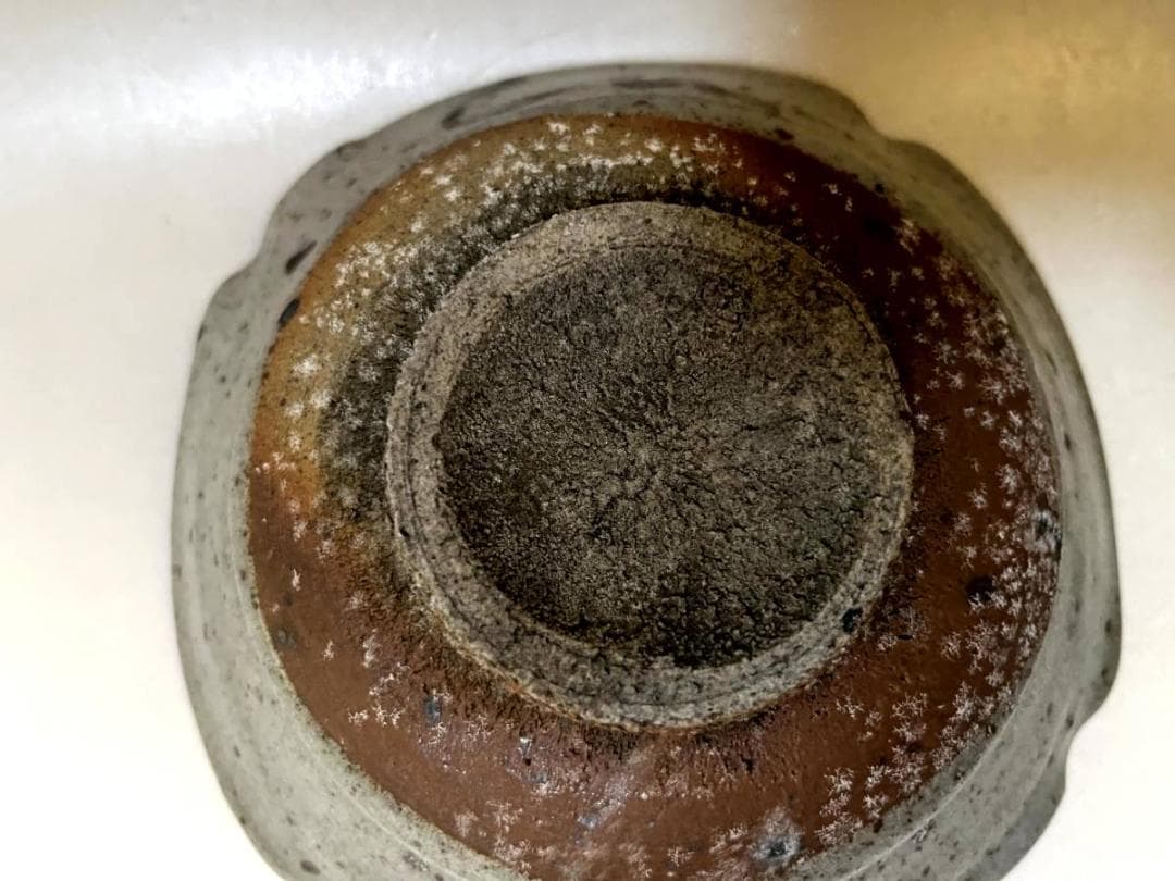 皿■絵唐津 蜻蛉図 古皿 あて皿 酒器 とんぼ絵 古美術 時代物 骨董品■