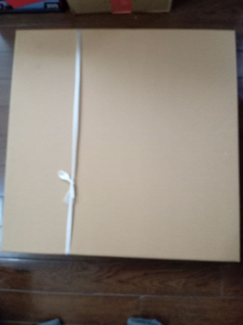 辻村史朗　肉筆　人物画　水墨画　額装