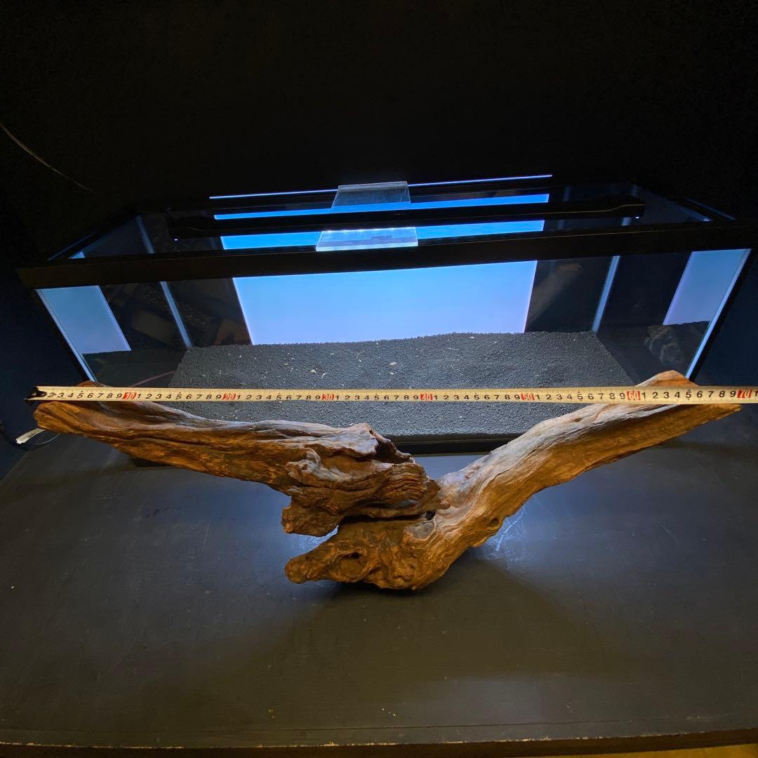 MRW-6332 特大自立赤系流木　アーチ流木　1点物　自立流木90cm水槽用