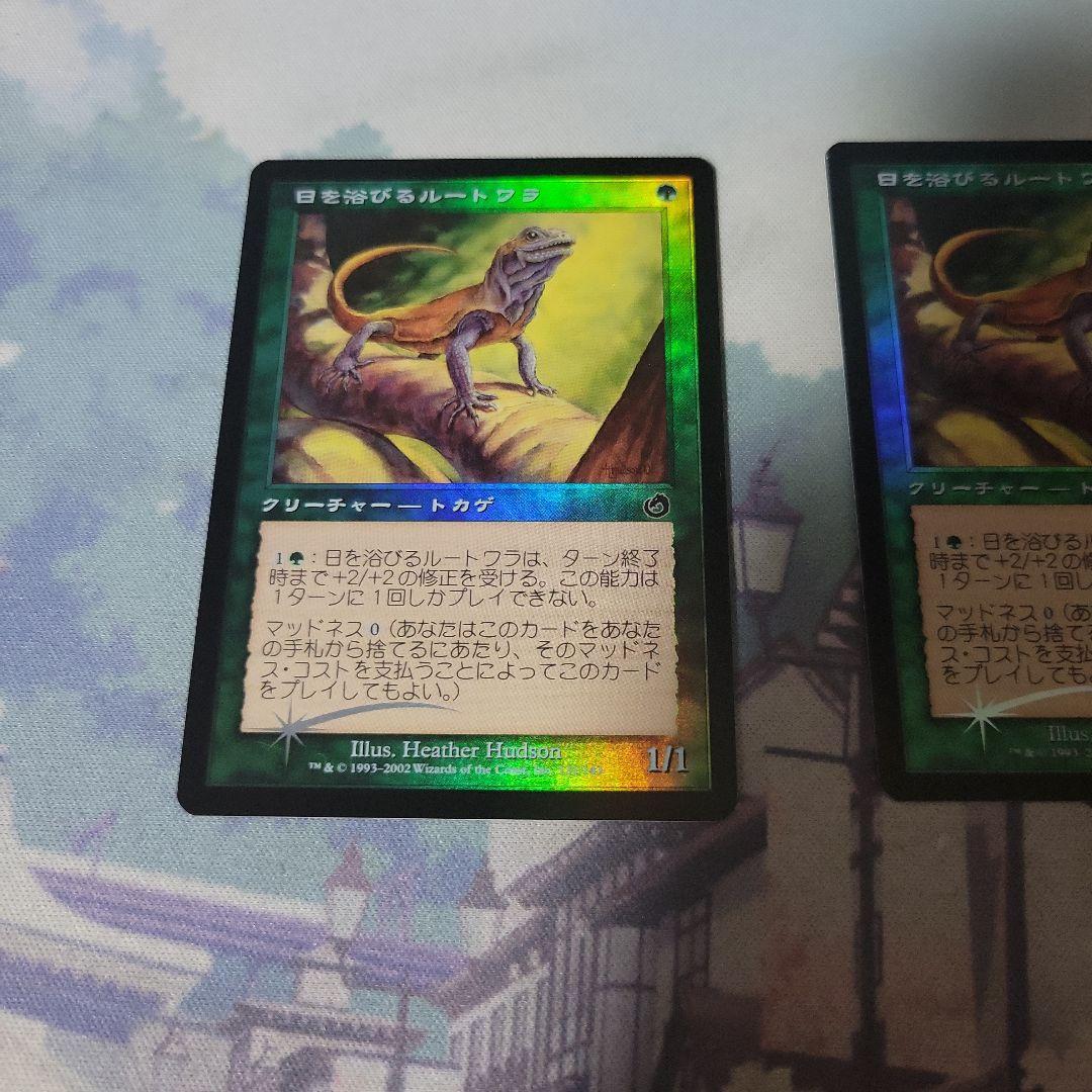 MTG 日を浴びるルートワラ foil