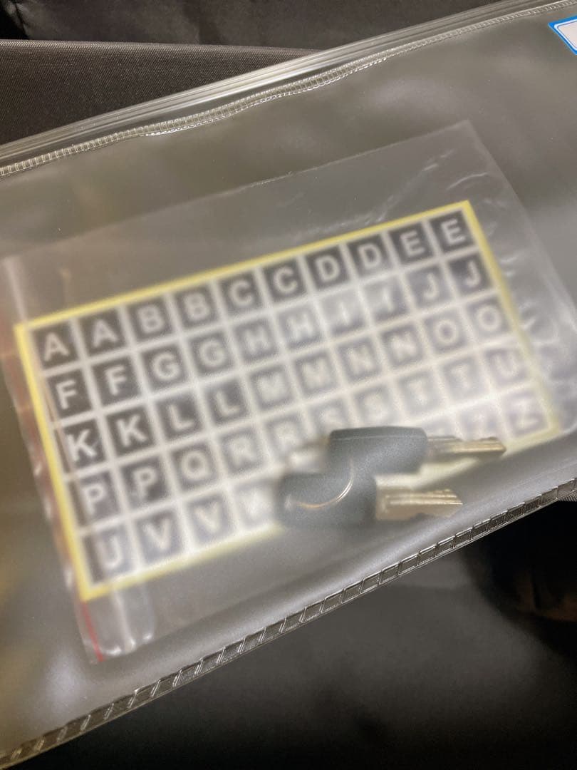 BALENO EXE ビジネストローリー　BTサイズ