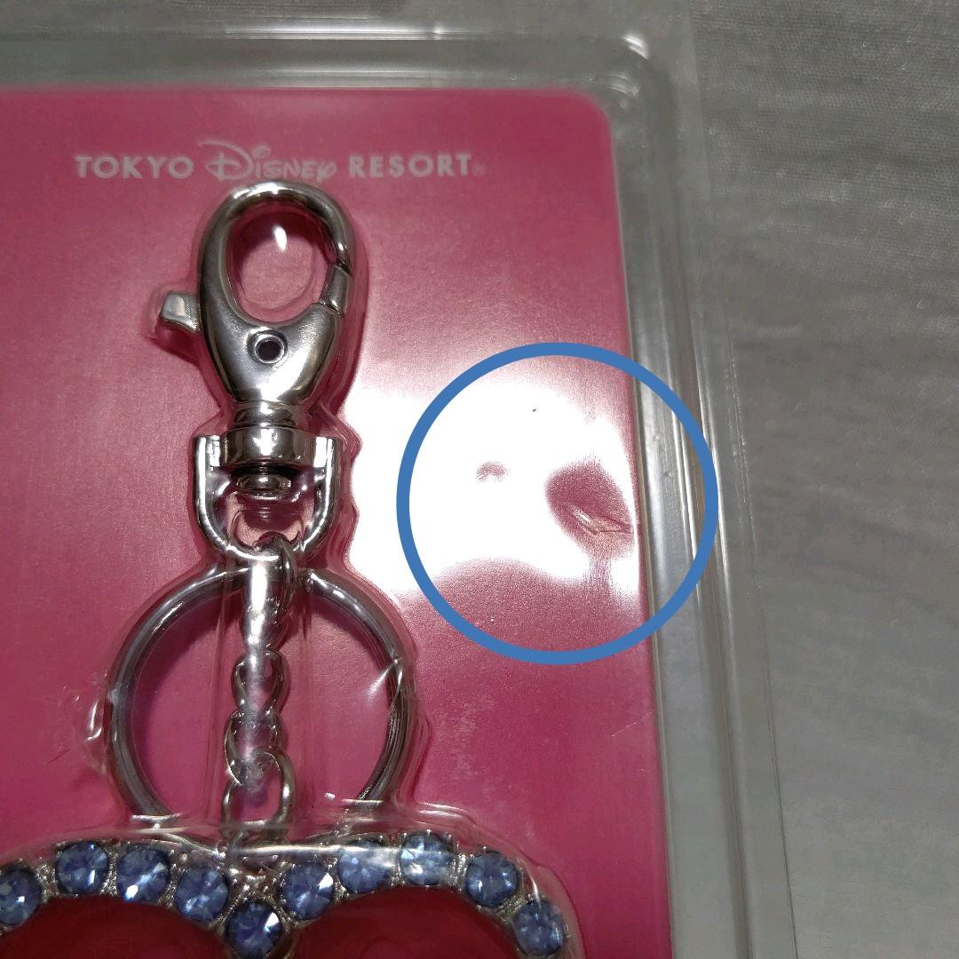 アリエル アンバサダーホテル プリンセスデイズ バケーションパッケージ 初期特典