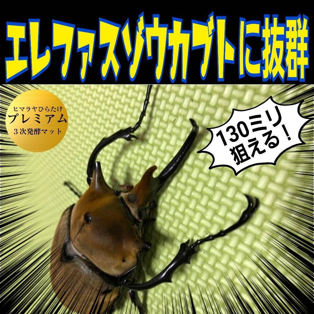 極上！プレミアム3次発酵カブトムシマット【50リットル】特殊アミノ酸強化配合！