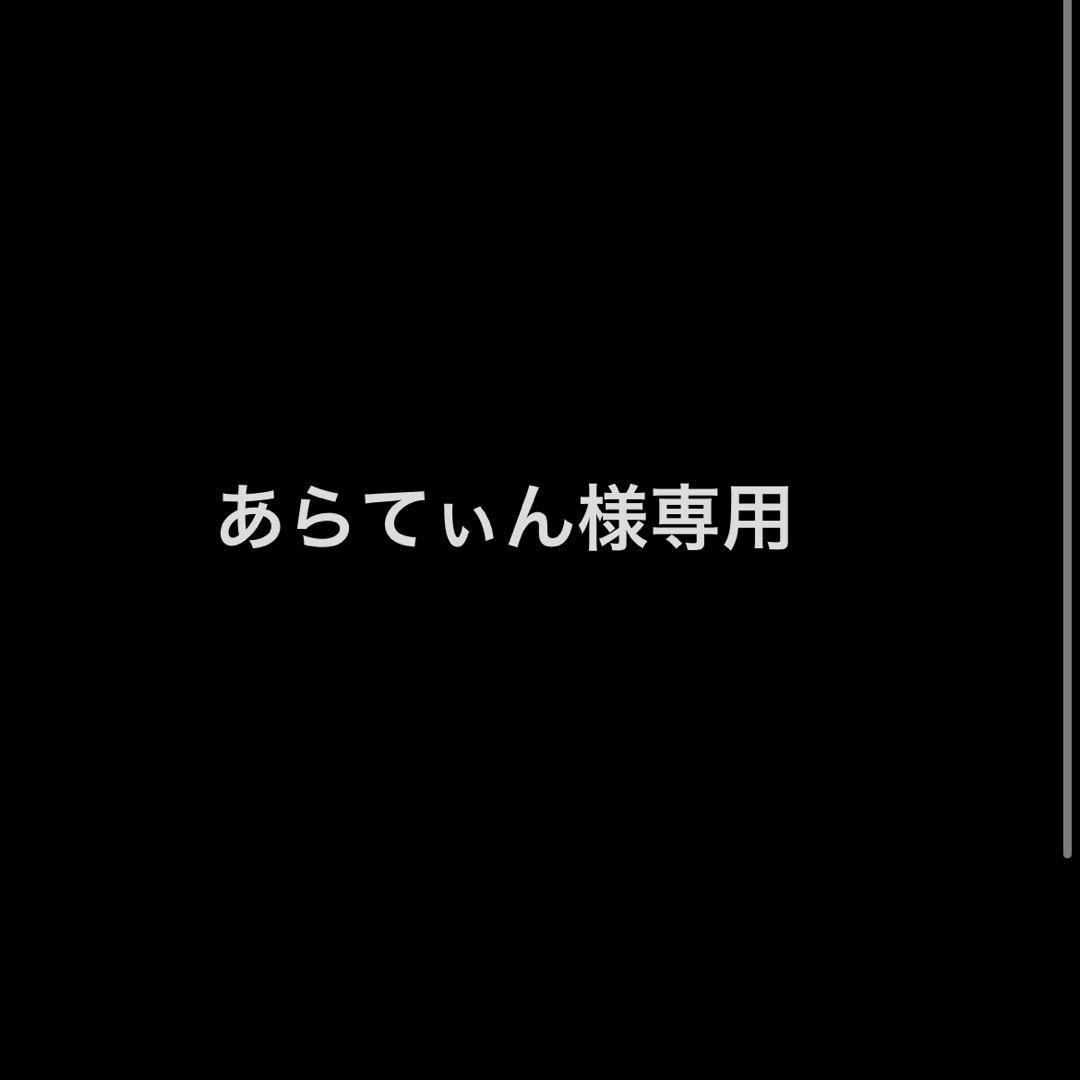 あらてぃん【5弾環境海外優勝構築】エメラルドスティール構築済みデッキ