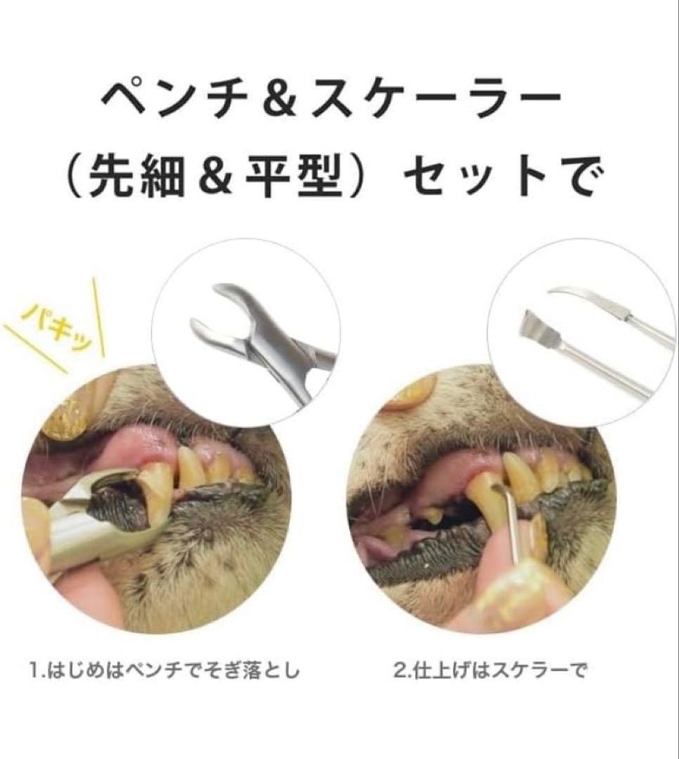 [帝塚山ハウンドカム] 歯石取りペンチ&スケーラー 先細・平型3点セット