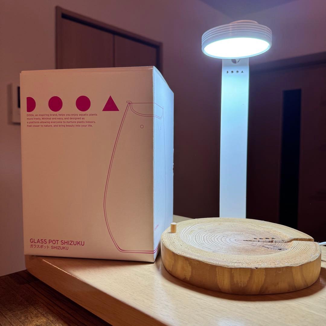 【DOOA】SHIZUKU ガラスポット【ADA】