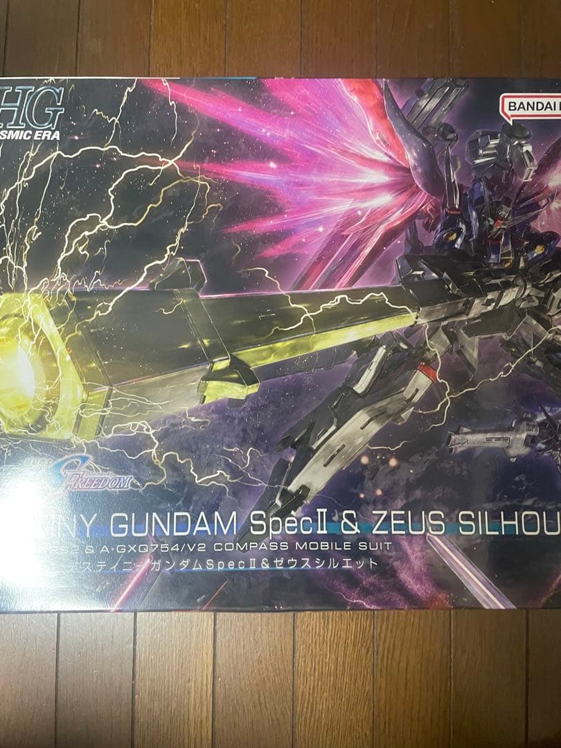 HG デスティニー　ゼウスシルエット